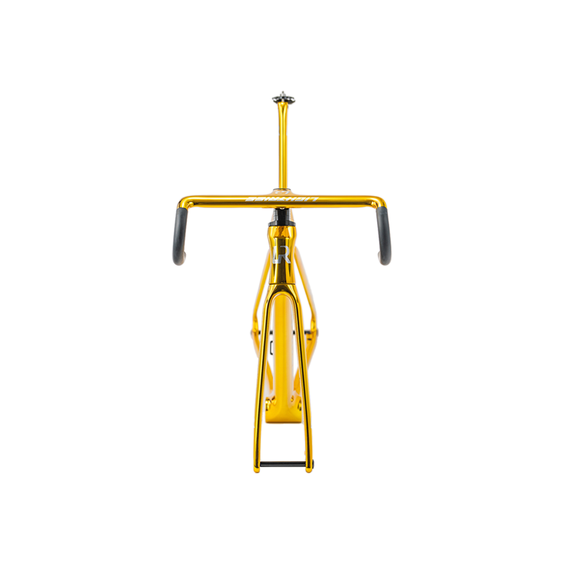 AURUM——Carbon Electroplated Gold Painting