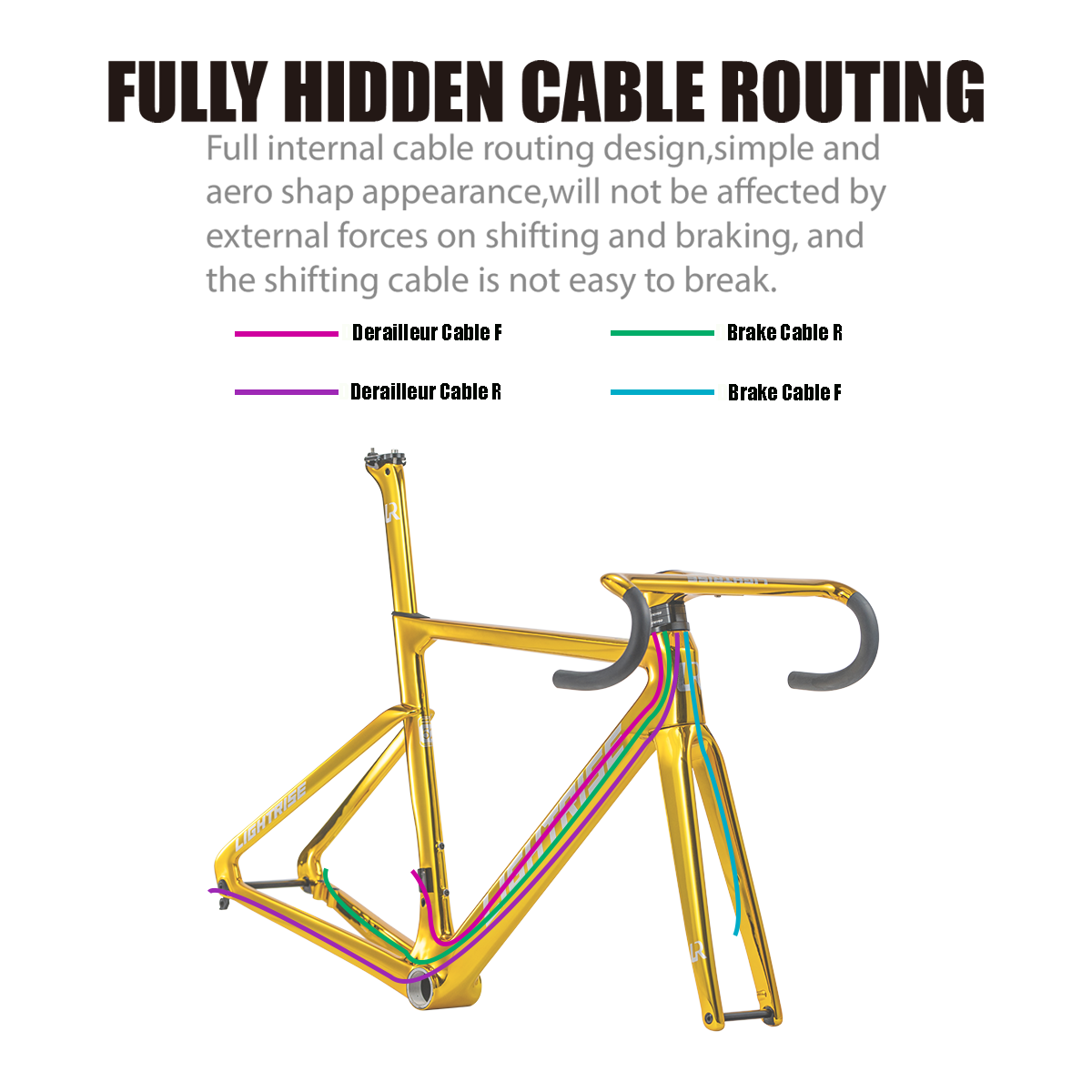 AURUM——Carbon Electroplated Ultra-iridiscent Painting